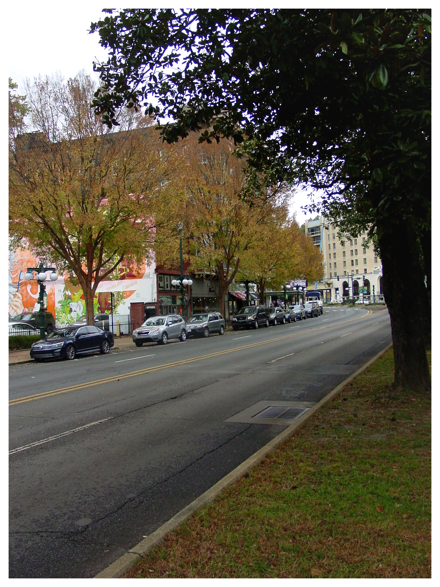 HSNP Downtown View