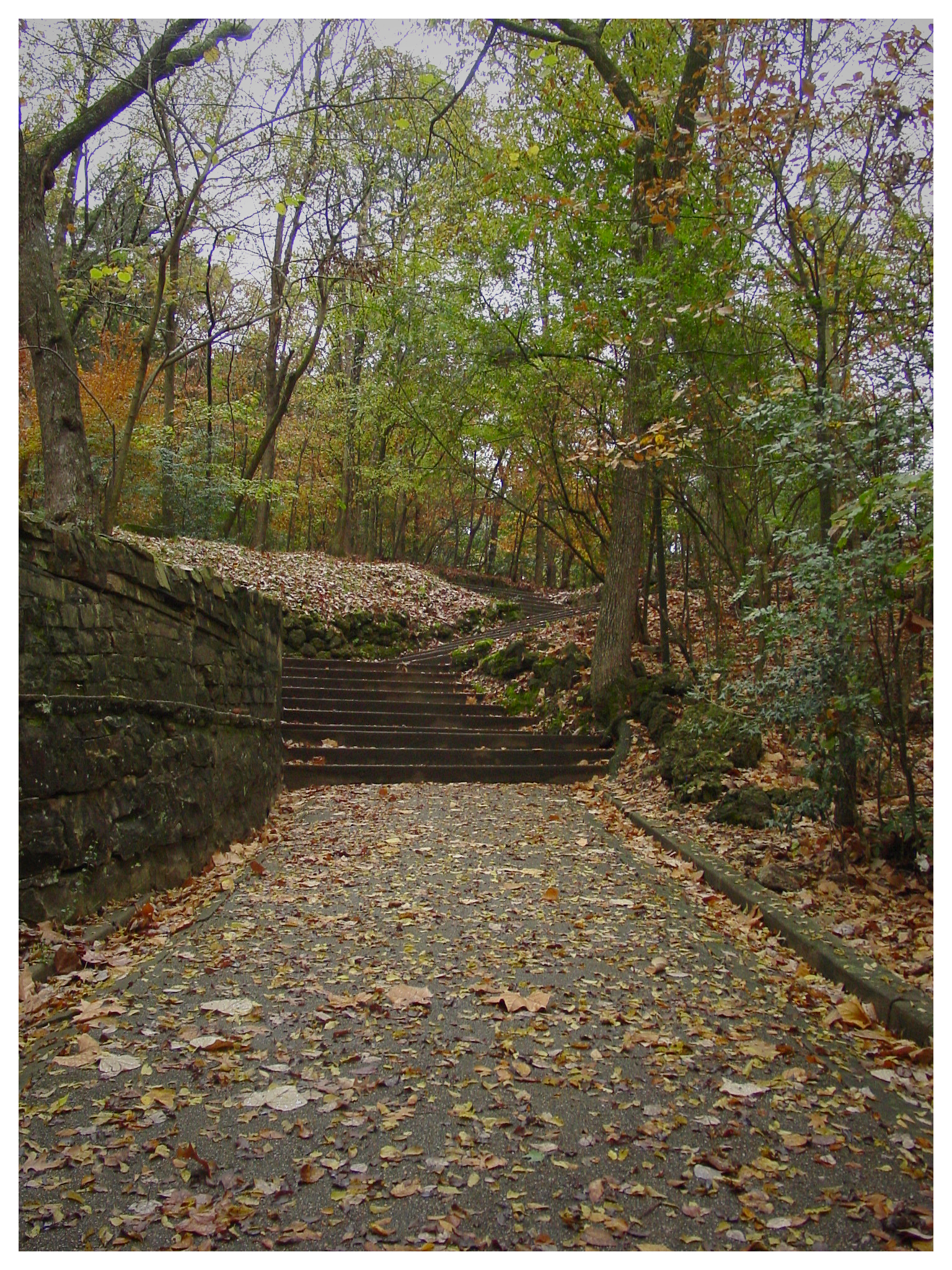 HSNP Stairs at Fall