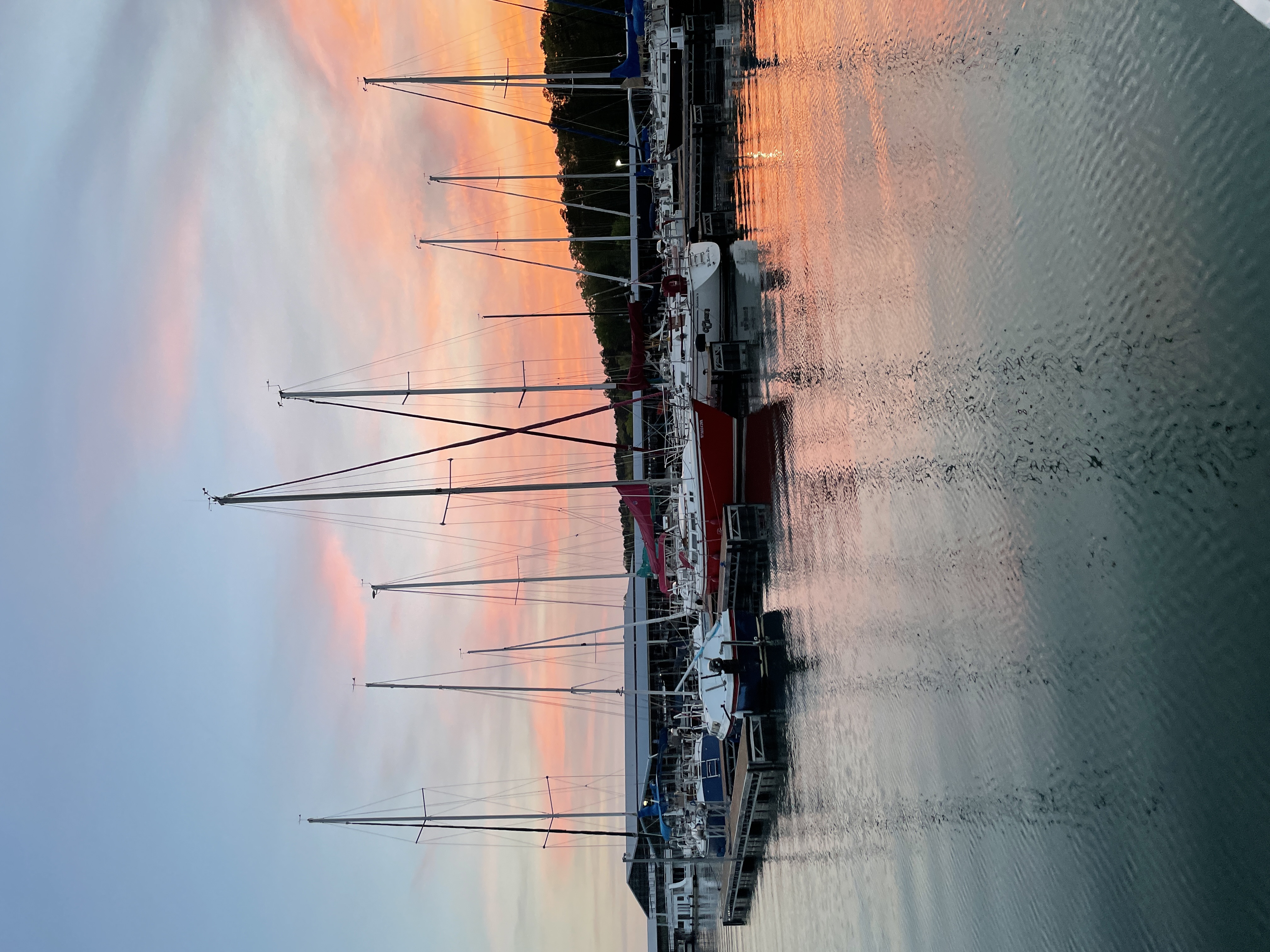 Sailboats docked on a lake at sunset
