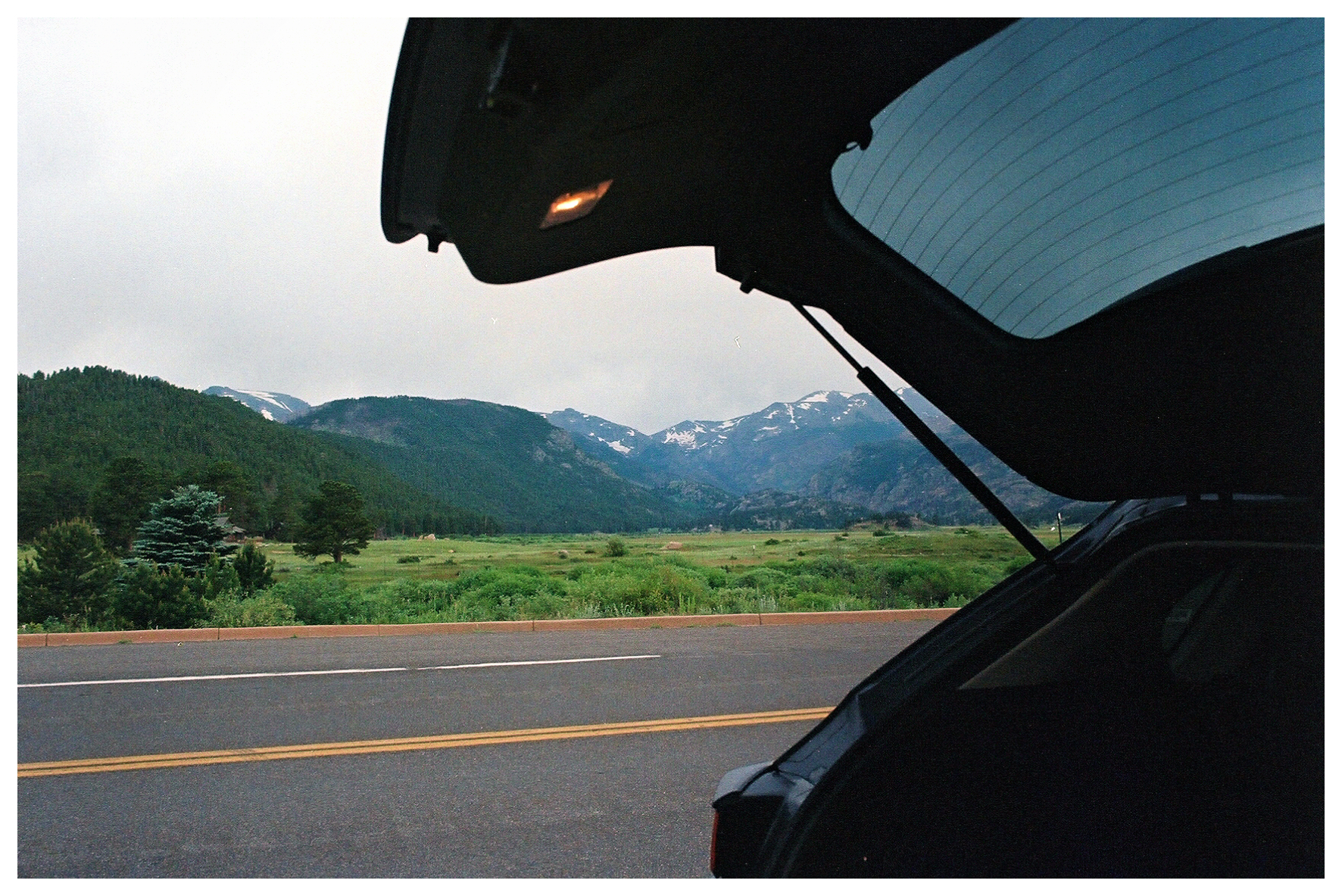 From the Trunk