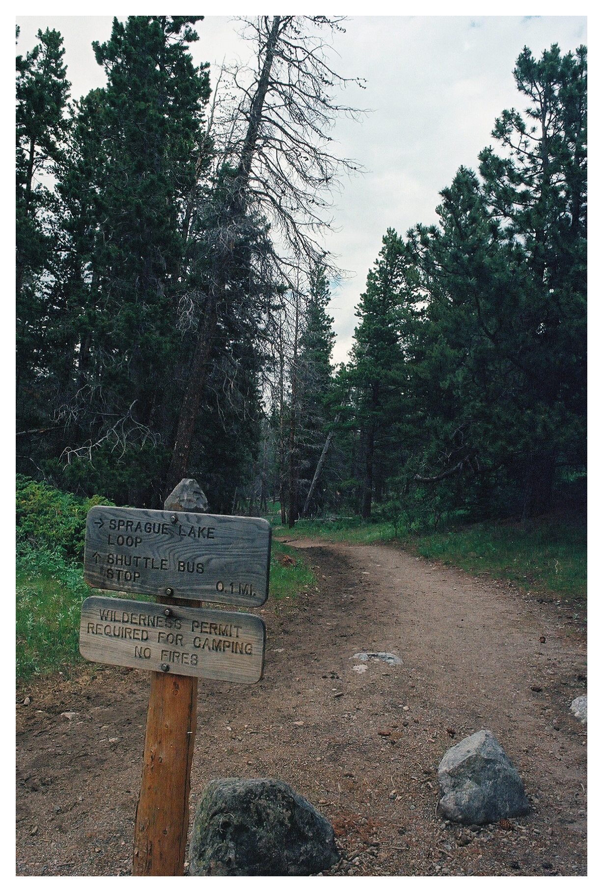Sprague Lake Sign