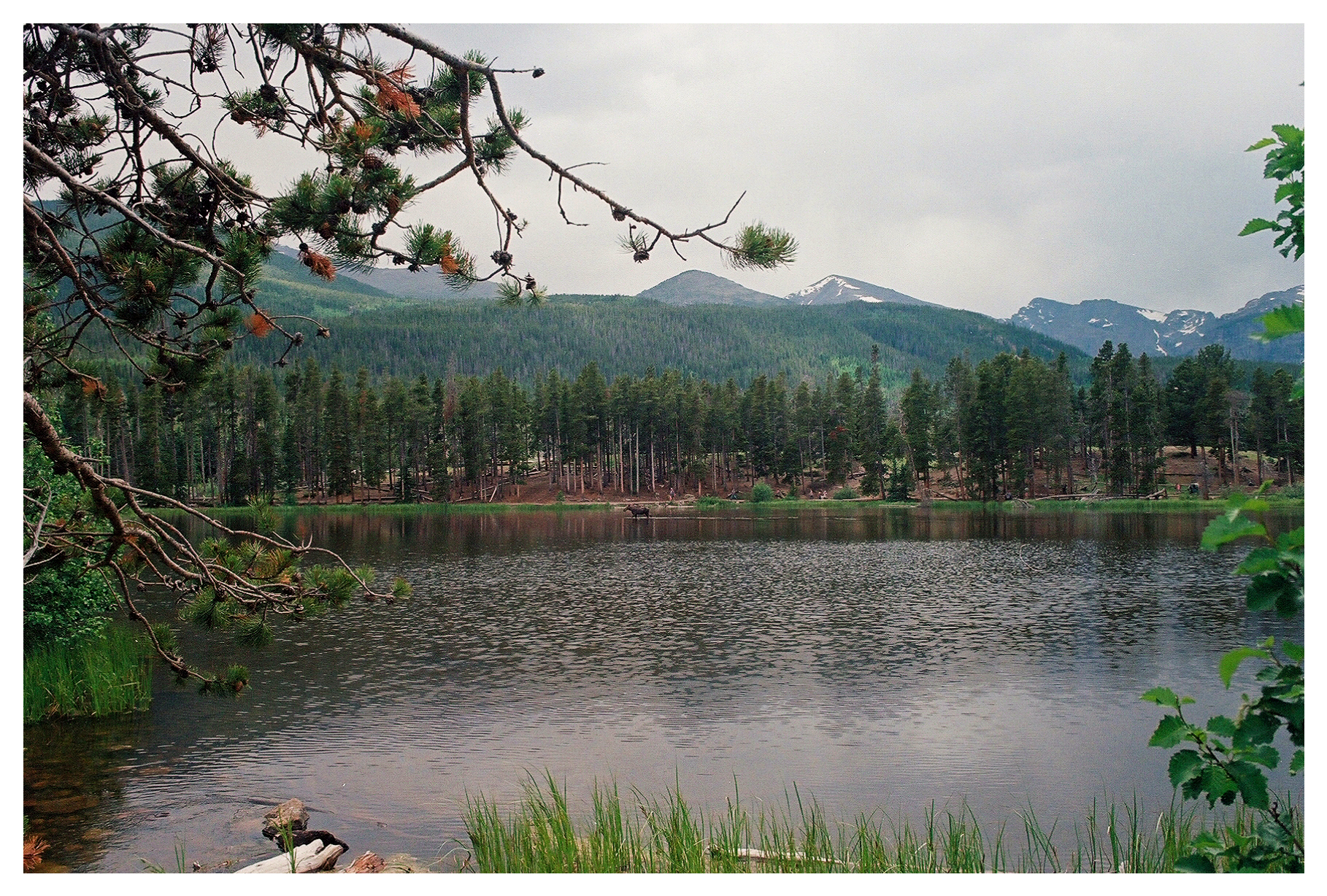 Moose Mountain